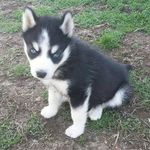 Anne Booker - @anne.booker.12 - Instagram