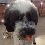 Anne Booker - @anne.booker.37 - Instagram