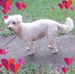 Anne Booker - Facebook