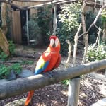 Anne-Marie Bouhier - @annemarie.bouhier.7 - Instagram
