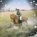 Anne Bowes - Facebook