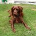 Anne Bowman - Facebook