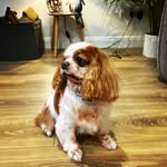 Anne Bowman - @anne.bowman2024 - Instagram