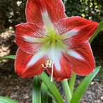 Anne Boyette - Facebook