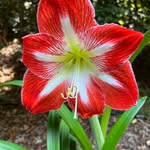 Anne Boyette - @anneboyette - Instagram