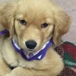 Anne Brack - @ambsmg1974 - Instagram