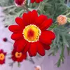 Anne Brand - @anneb.1985 - TikTok