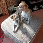 Anne Brannan - @brannan7940 - Instagram