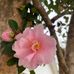 Anne Brant - Facebook