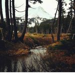 Lorie Anne Breault - @breaultlorieanne55 - Instagram