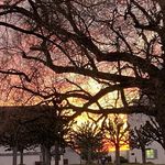Anne Brenner - @recetox2020 - Instagram