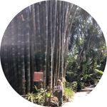 Sue Anne Brenner - @sueanne.brenner - Instagram