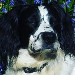 Anne Bridgeman - @anniebridgeman1 - Instagram