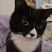 Annie Bridgeman - Facebook