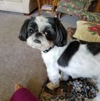 Anne Brisco - Facebook