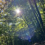 Anne Brochu - Facebook
