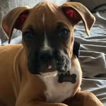 Anne Broyles Mayes - @mayesanne - Instagram