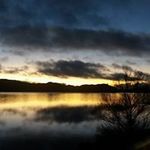 anne bruce macleod - @annebrucemac - Instagram