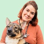 Eläinlääkäri Anne Bruce 🩺 - @tassuneuvos - Instagram