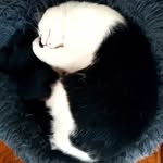 Anne Brunier - @brunieranne - Instagram