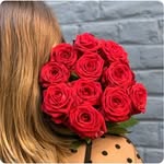 bruni anne - @annebruni4479 - Instagram
