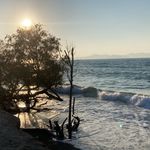 Anne Bryan - @alzbryan - Instagram