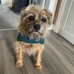 Anne Bryan - @anne.bryan.1297 - Instagram