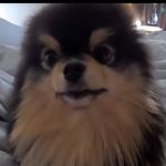 Anne - @annebunnyreview - Instagram