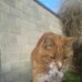 Anne Bunn - Facebook