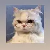 Anne Bunni - @annebunni - TikTok