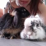 @annebunny.arsenelapin - Instagram