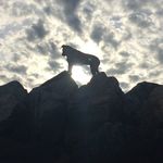 Anne Bureau - @anne222999 - Instagram