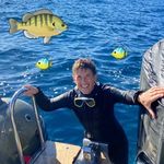 Anne Burton - @anneburton6205 - Instagram