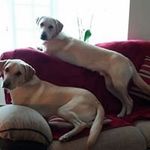 Anne Burton - @anne.burton.10 - Instagram