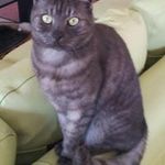 Anne Burton - @burton2605 - Instagram
