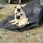 Anne Burton - Facebook