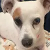Arnie - @anneburton72 - TikTok