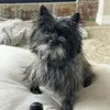 Boone Burton - @anne.burton - TikTok
