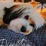 Anne Busch - Facebook
