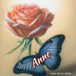 Anne Busch - Facebook