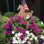 Anne Byers - @ponygirlgrandma - Instagram