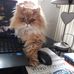 Annie Cadel - Facebook
