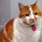 Anne Calder - Facebook