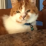 Anne Calder - @anne.calder.9 - Instagram