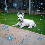 Anne Calder - Facebook