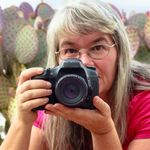 Anne Carleton Molstad - @anne_carleton_molstad - Instagram
