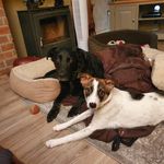 Rita Anne Chaplin - @jampot0369 - Instagram