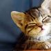  Mary-Anne Vandevalk-cheeper - Facebook