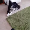 Ann Childs - @ann.childs - TikTok
