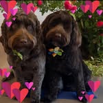 Anne Childs - @annechilds76 - Instagram